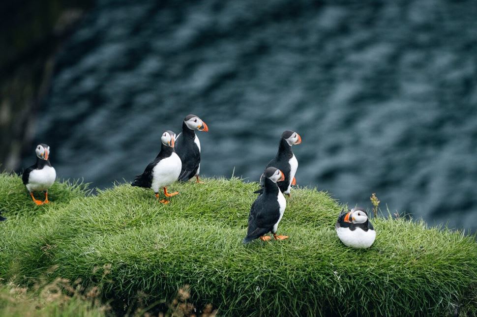 Summer Solstice: Midnight Sun Adventure 3