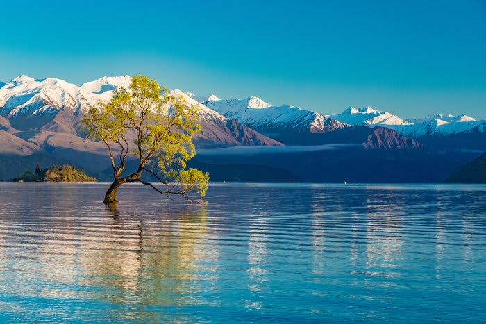 South Island Adventure: Queenstown to Christchurch