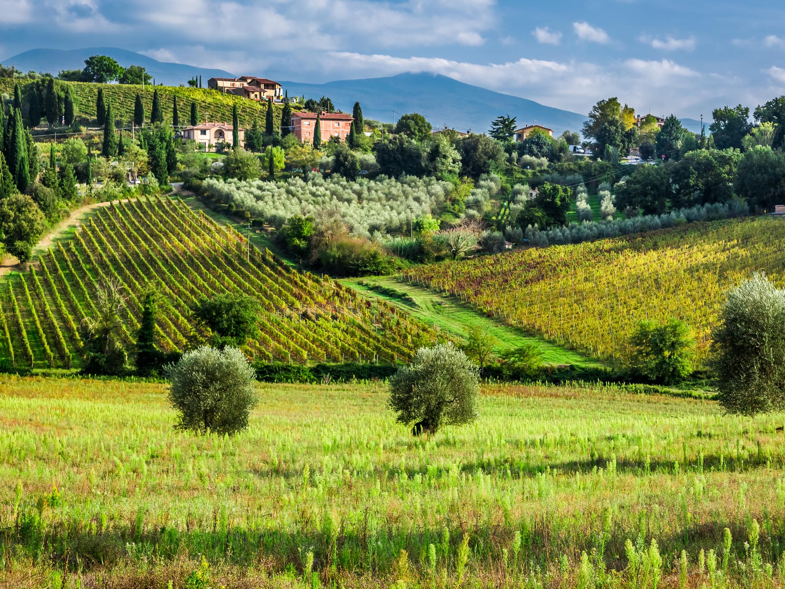 Culinary Italy: Food & Wine Tour 3