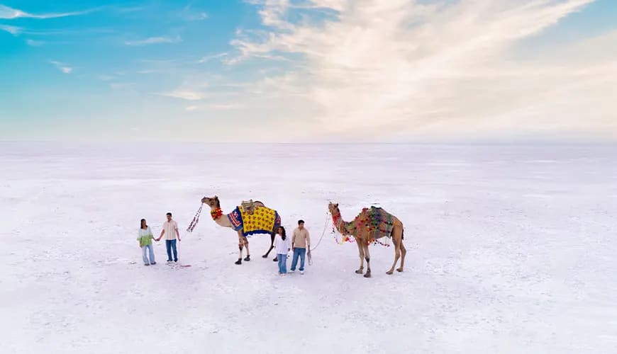 Egypt: White Desert & Oases Adventure