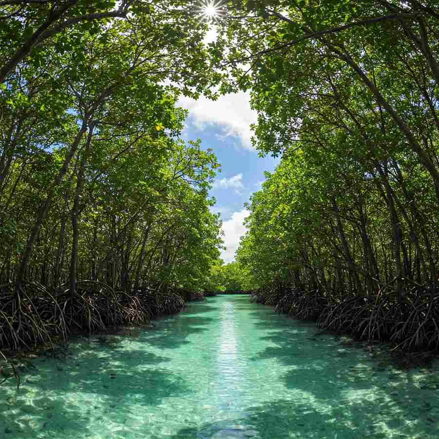 Andaman Island Hopping Tour 3