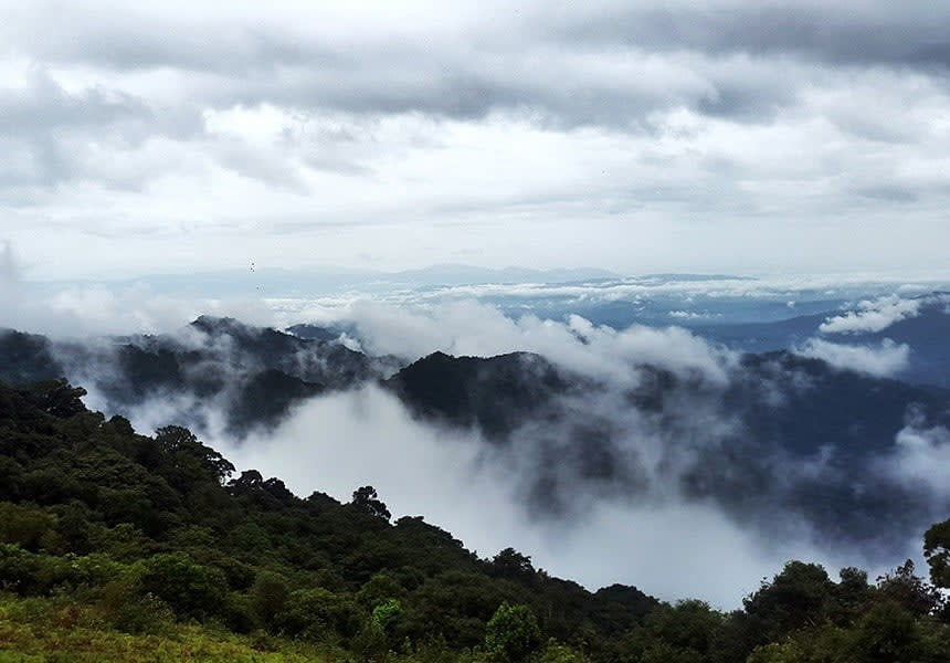 Coffee Plantation Retreat 3