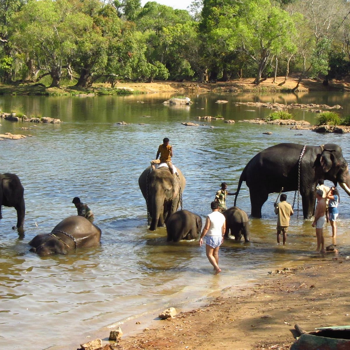 Coorg Family Getaway 2