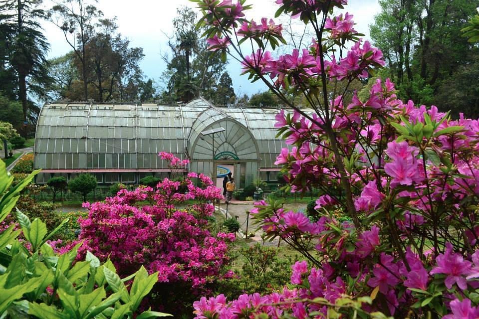 Darjeeling Summer Getaway 4