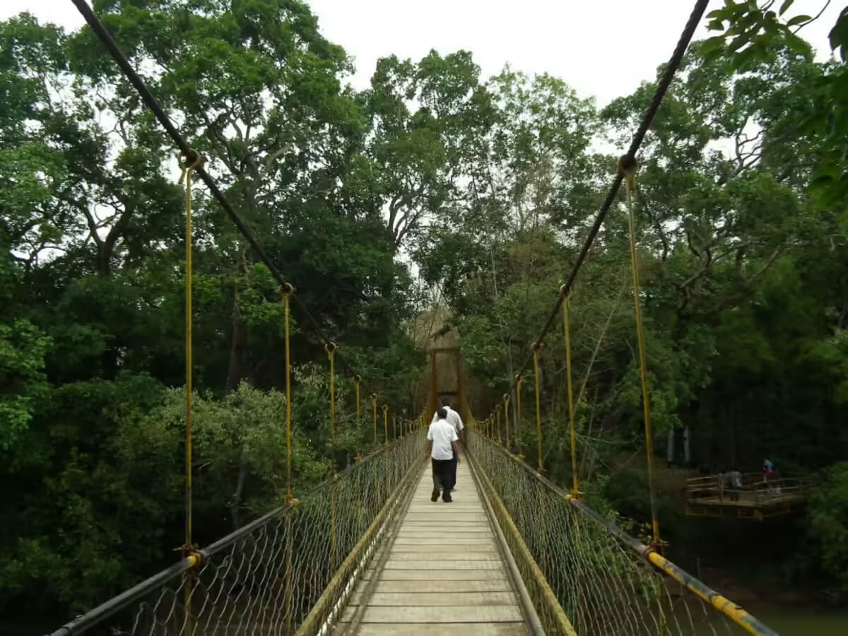 Coorg Family Getaway 3