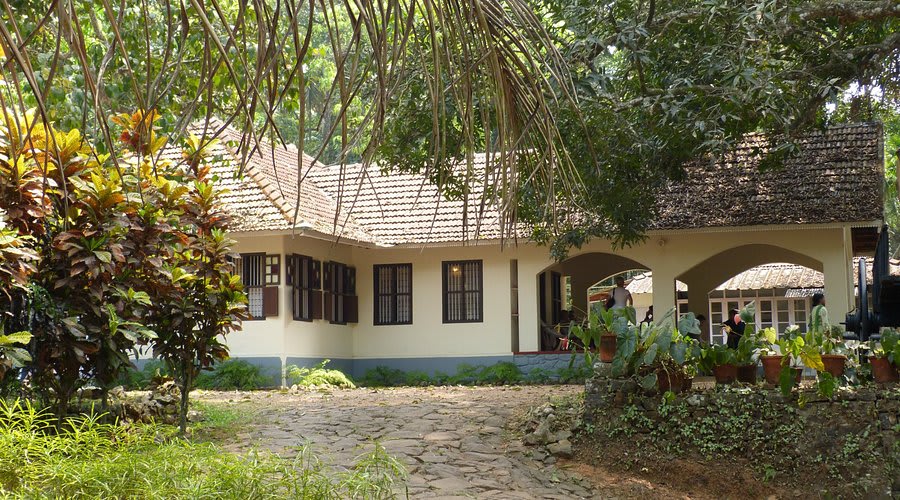 Coffee Plantation Retreat 4