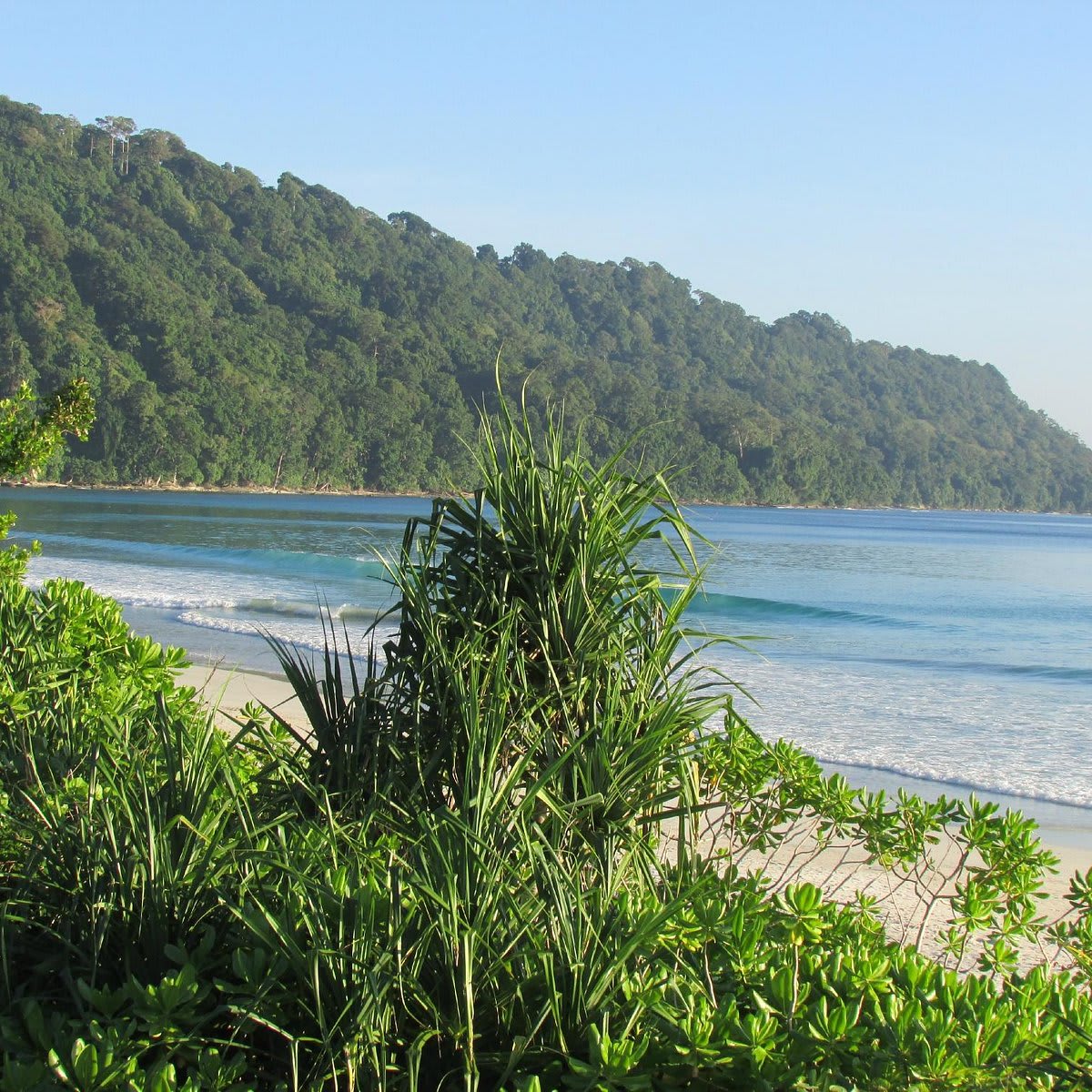 Andaman Honeymoon Special 2