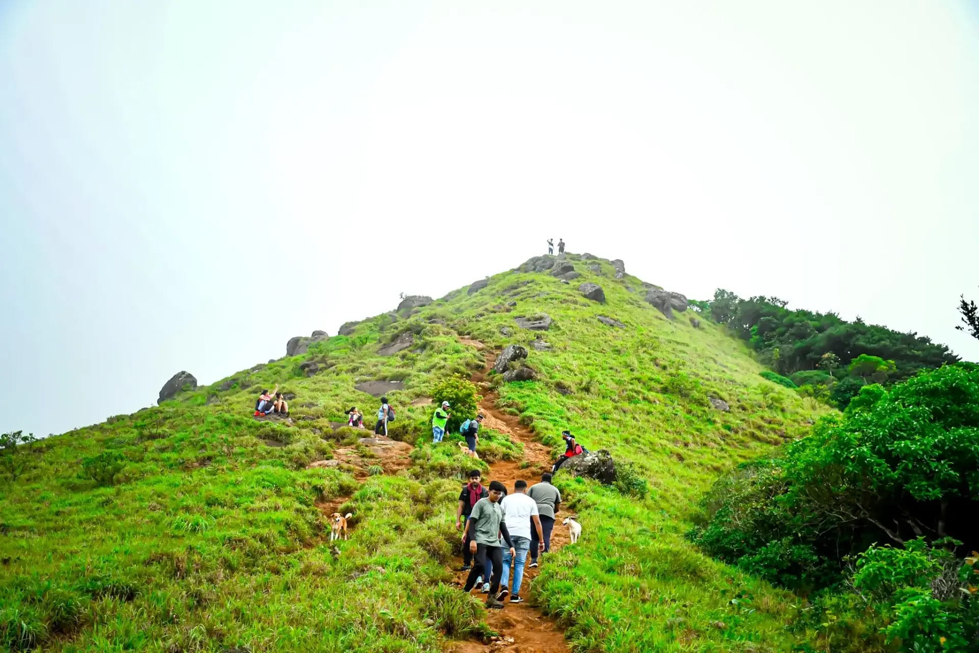Coorg Adventure & Trekking 2