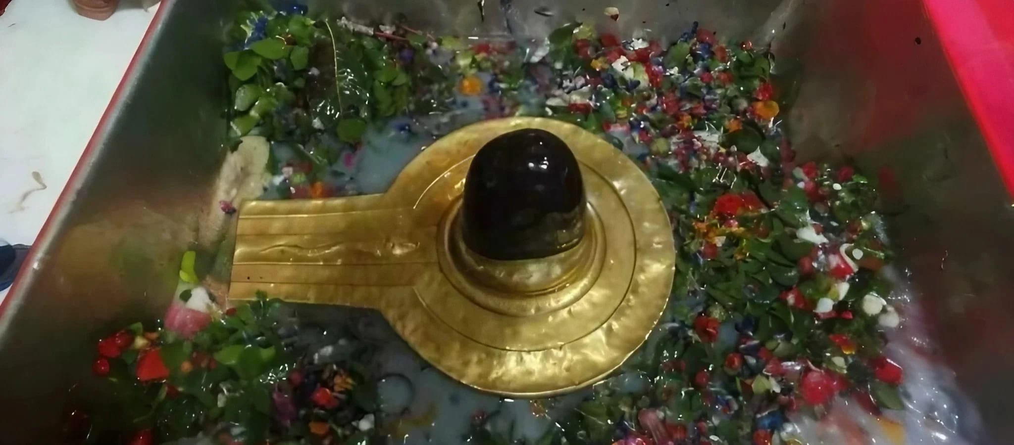 Dwadash Jyotirlinga Yatra - Pan India 8