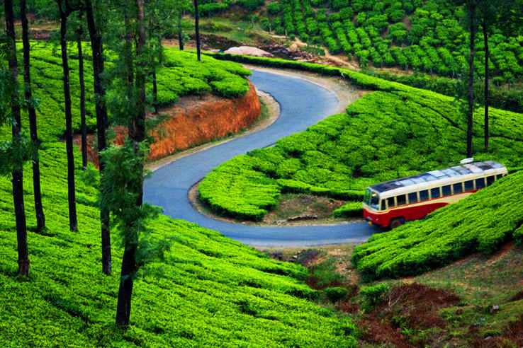Munnar Hill Station Retreat 2