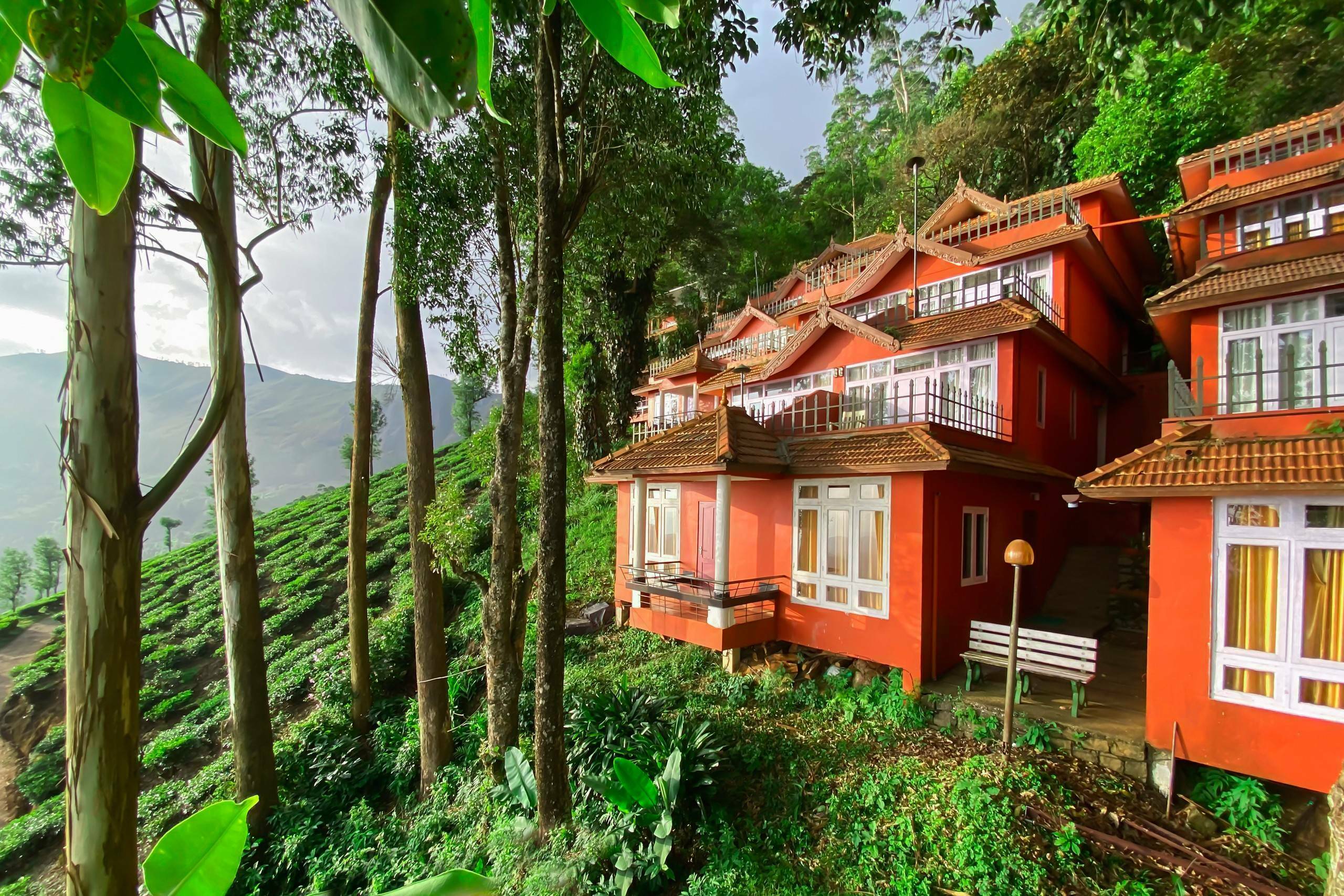 Munnar Hill Station Retreat 4