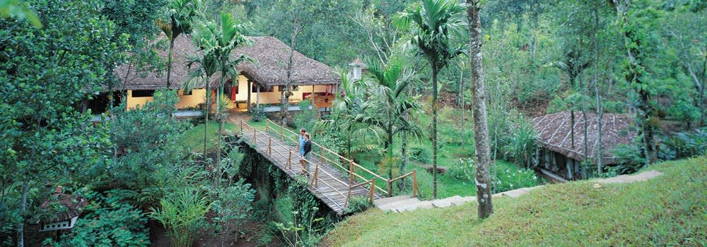 Enchanting Kerala Honeymoon - Suryanelli, Munnar, Alleppey Houseboat, Kovalam & Kanyakumari 7