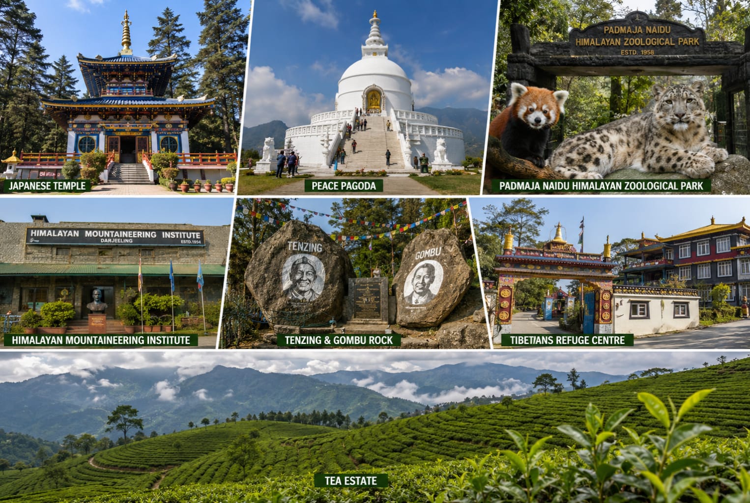 Eastern Himalayan Delight: Gangtok, Pelling & Darjeeling 3
