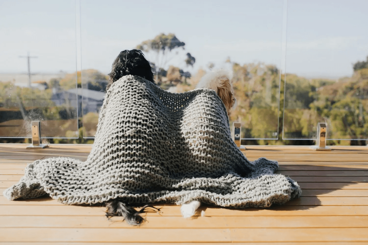 Pet-Friendly Activities and Attractions