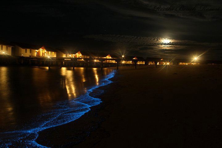 Reethi Beach