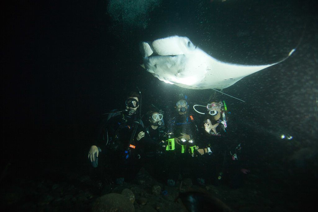 Kona Manta Night Dive, Hawaii, USA