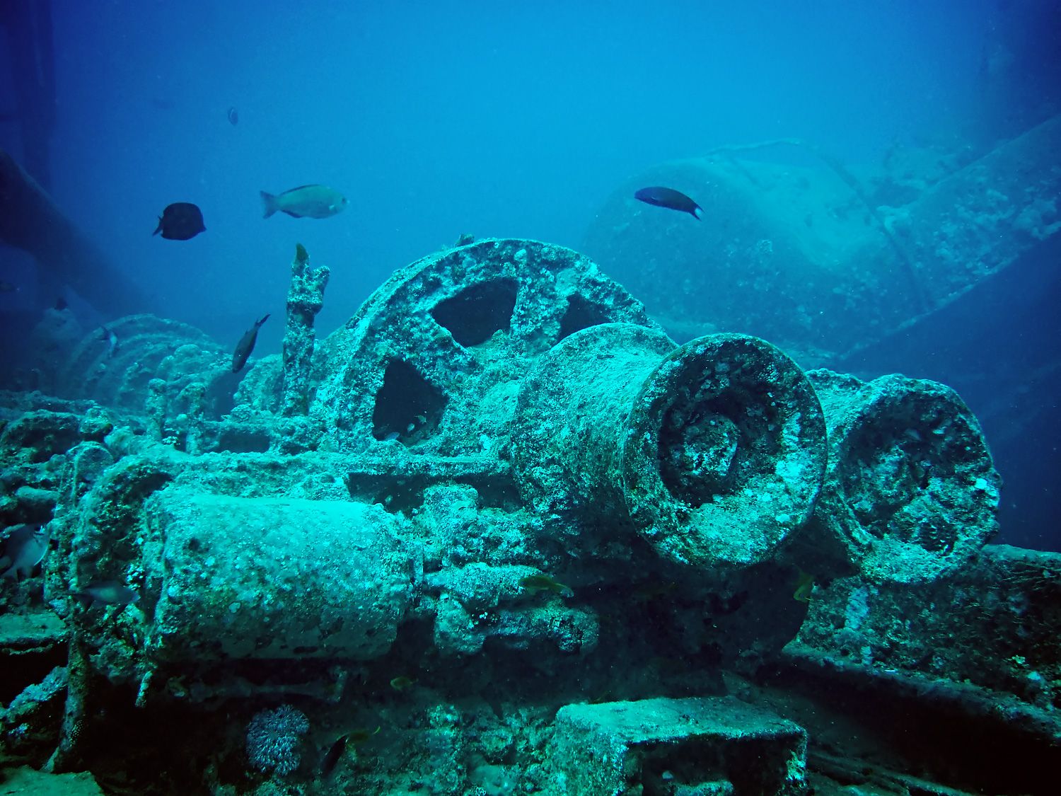 Ss Thistlegorm Wreck, Red Sea, Egypt