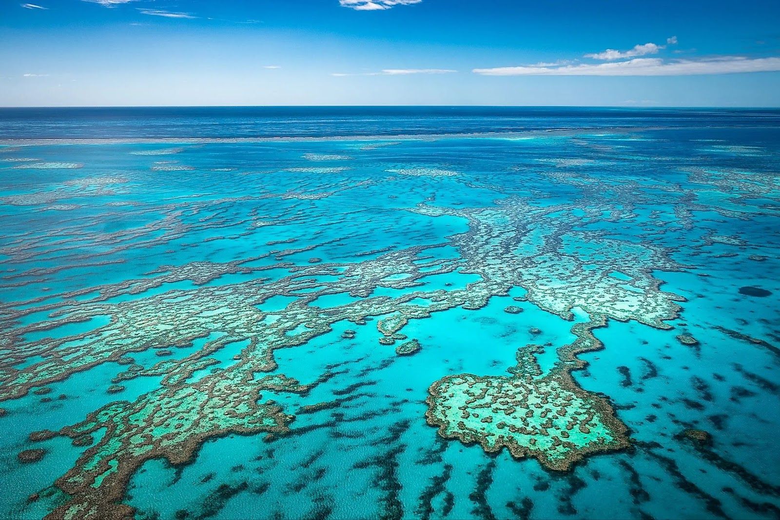 Must-See Spots in the Great Barrier Reef