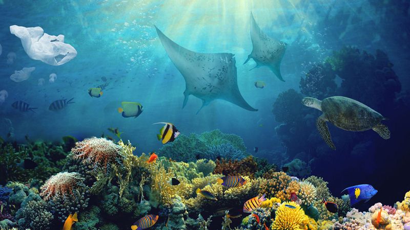 Why Cairns Should Be on Your Travel Radar