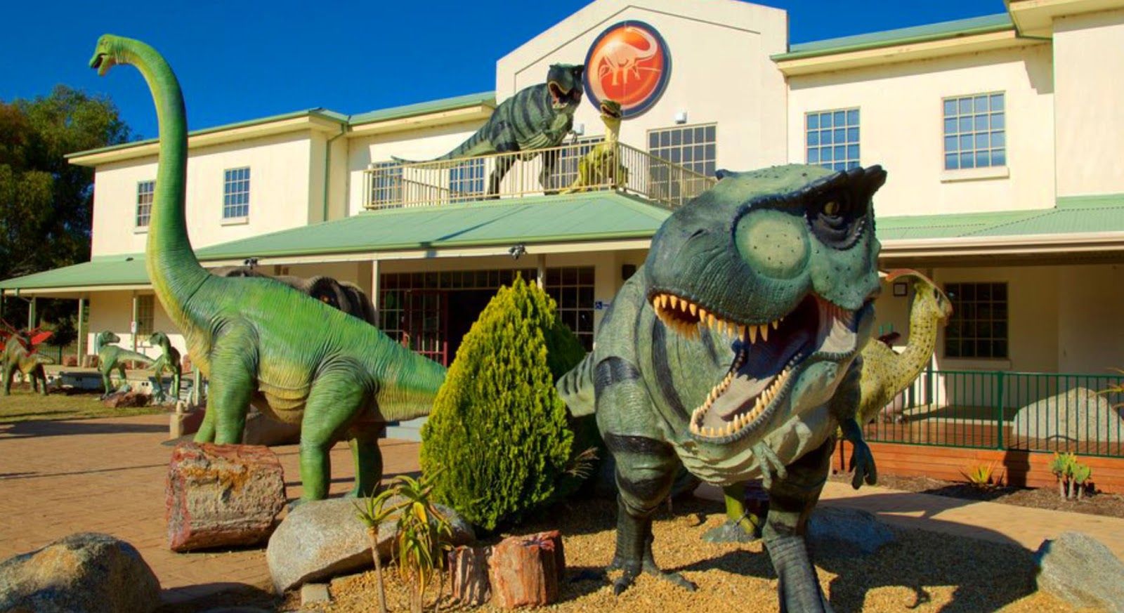 The National Dinosaur Museum: A Family-Friendly Hidden Gem