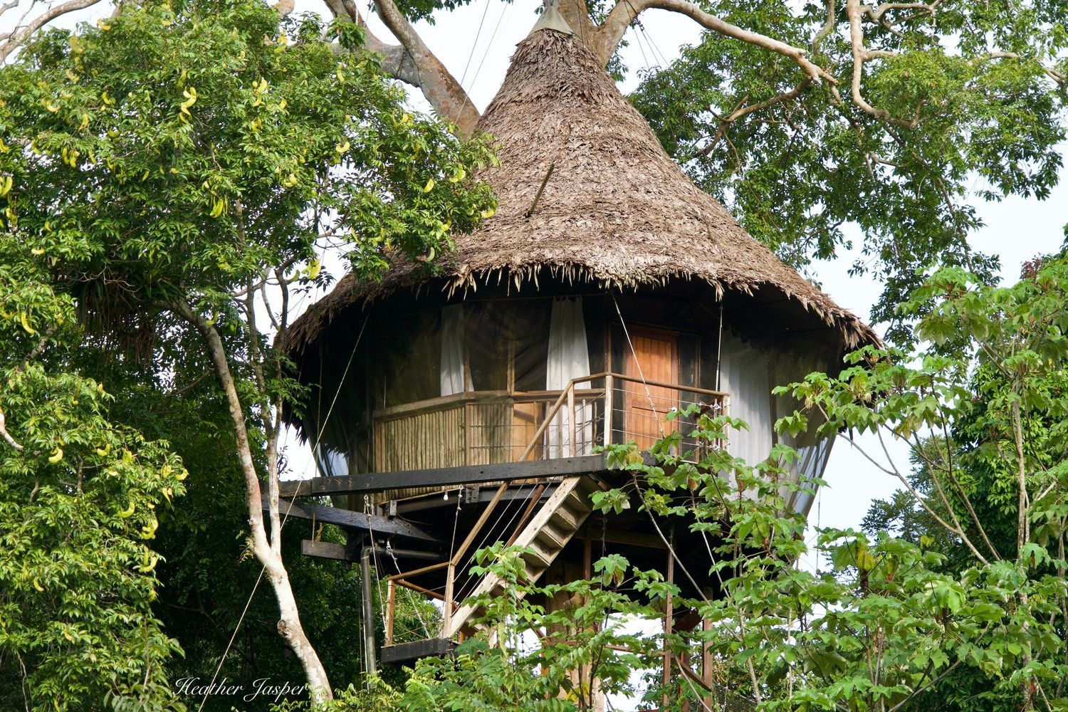 Treehouse Lodge – Iquitos, Peru (Amazon Rainforest)
