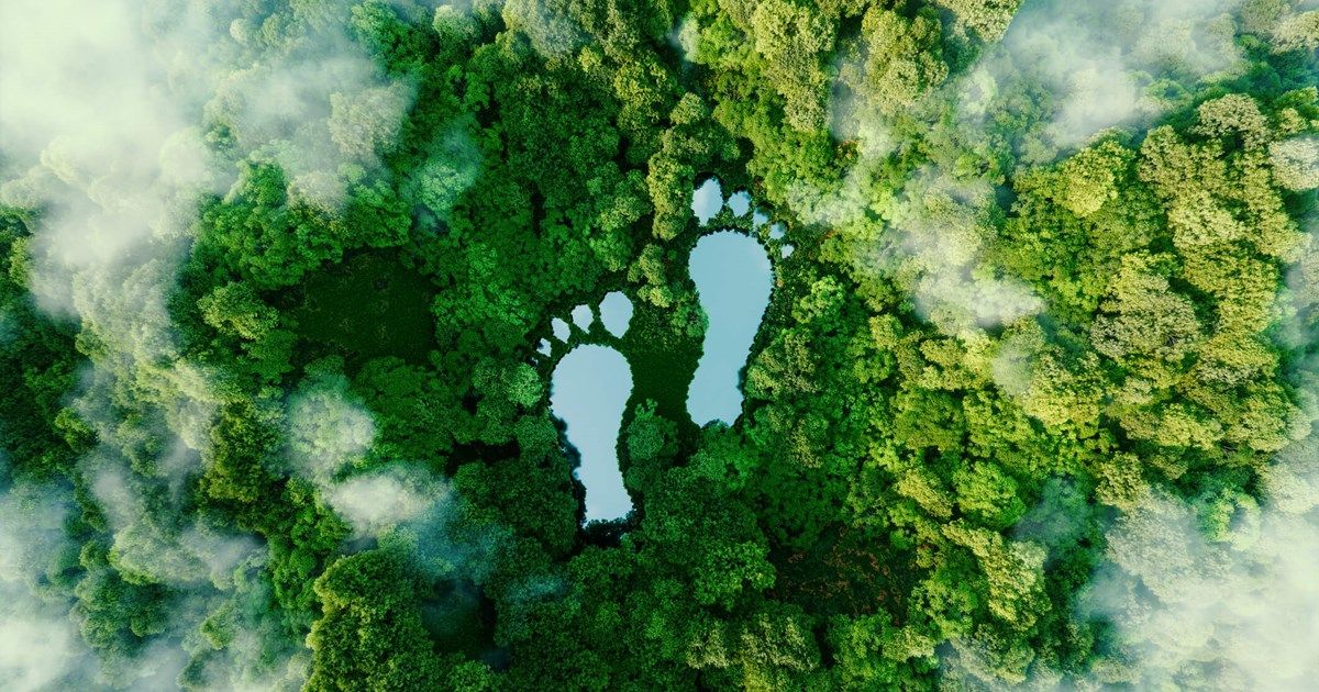 How AI Travel Tools Enhance Eco-Conscious Tourism