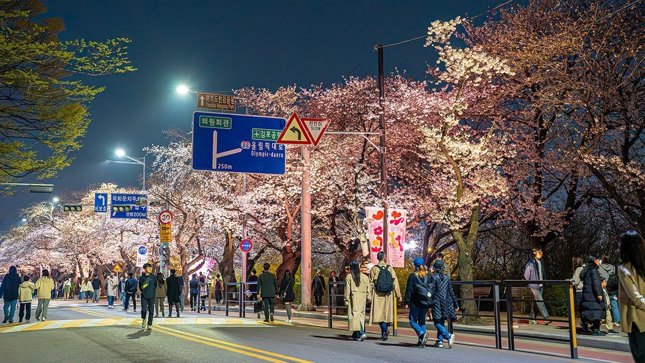 The Best Places to Watch the Cherry Blossoms in South Korea
