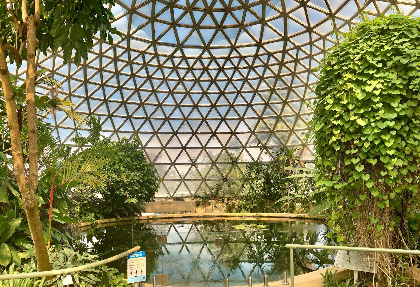 The Brisbane City Botanic Gardens