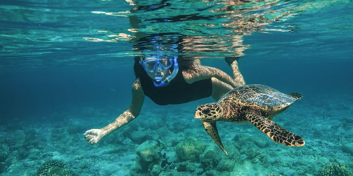 Affordable Things To Do In The Maldives