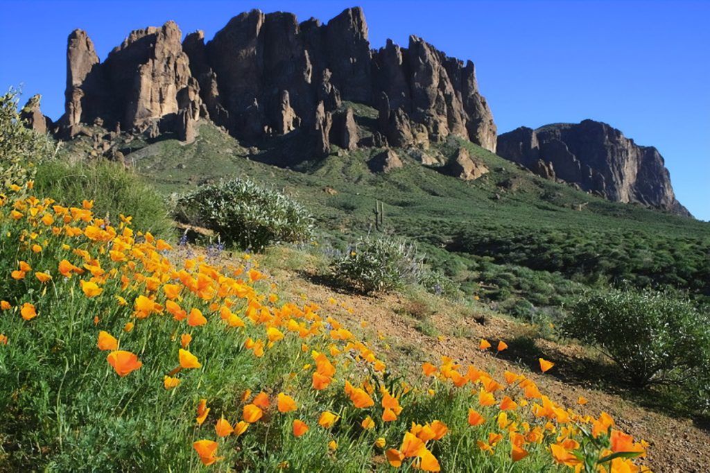 Why Visit Arizona in Spring?