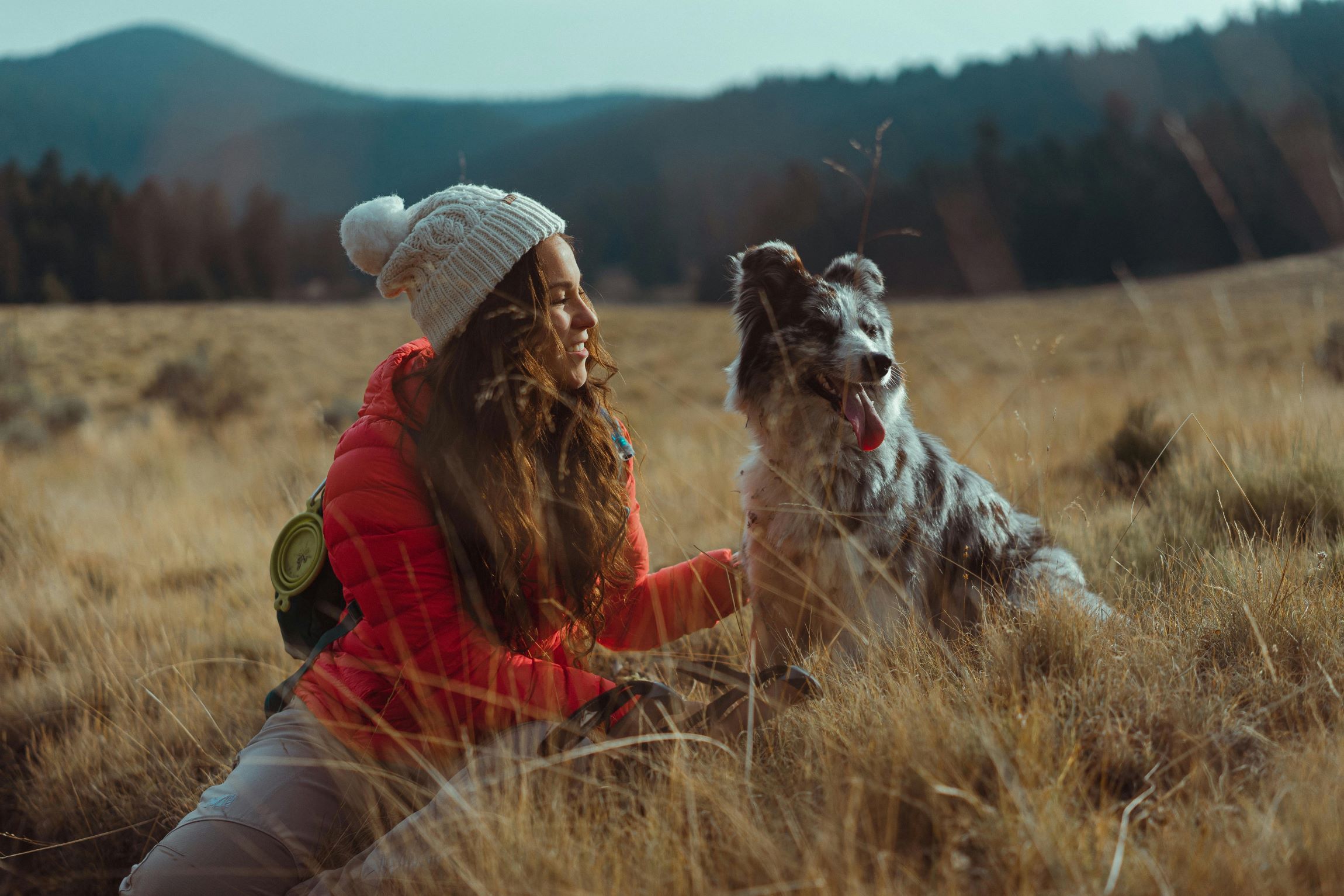 Pet-Friendly Travel: Exploring the World with Your Furry Friend