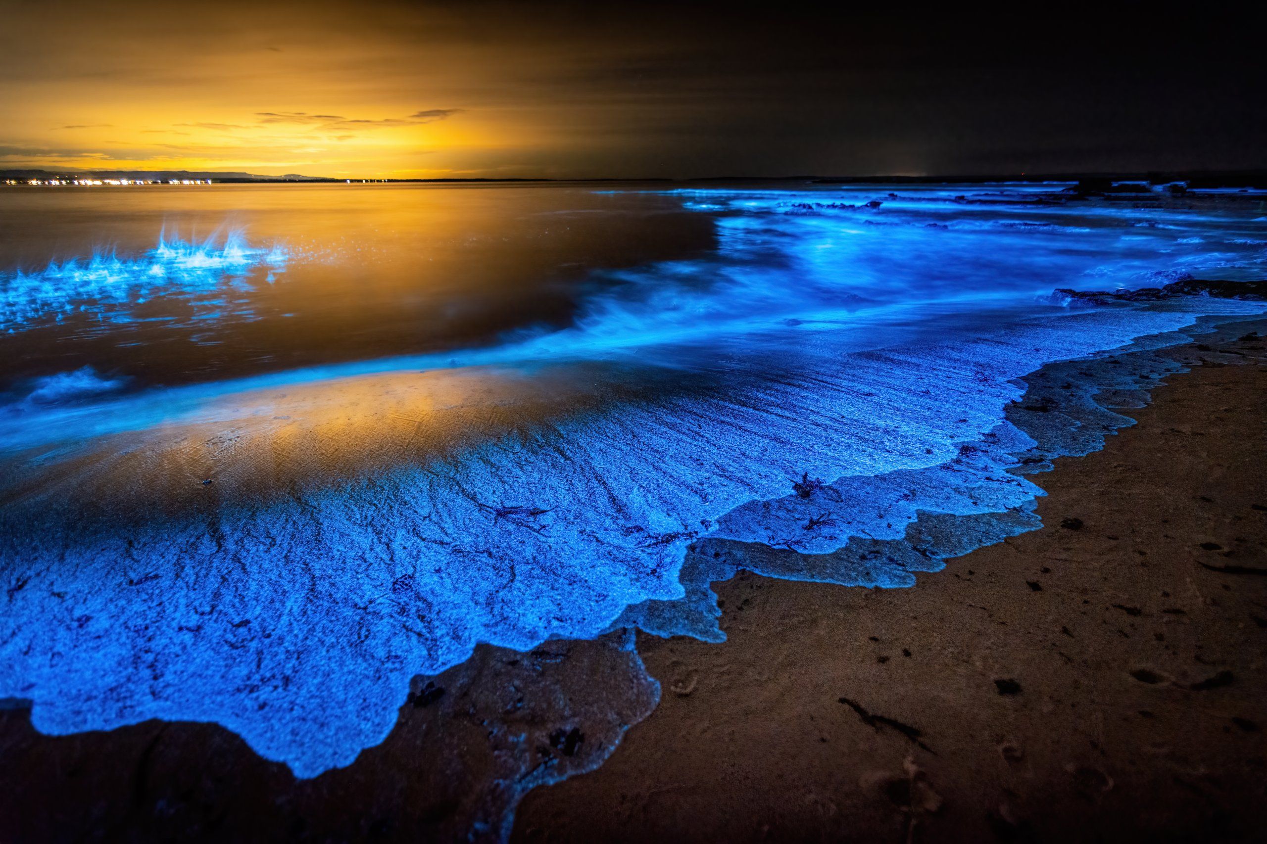 Top 10 Places To Experience Bioluminescent Beaches