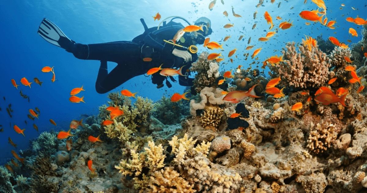 Best Scuba Diving Locations In The World