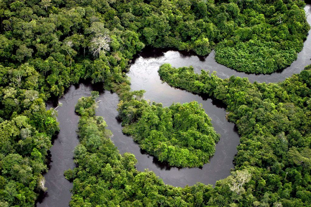 Explore The Amazon Rainforest in Peru with Booked AI