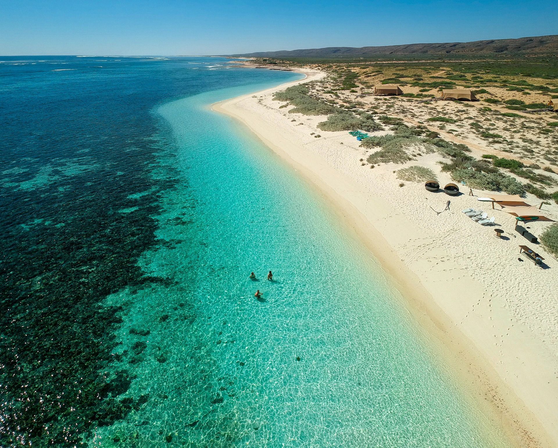 Swimming With Whale Sharks At Ningaloo Reef