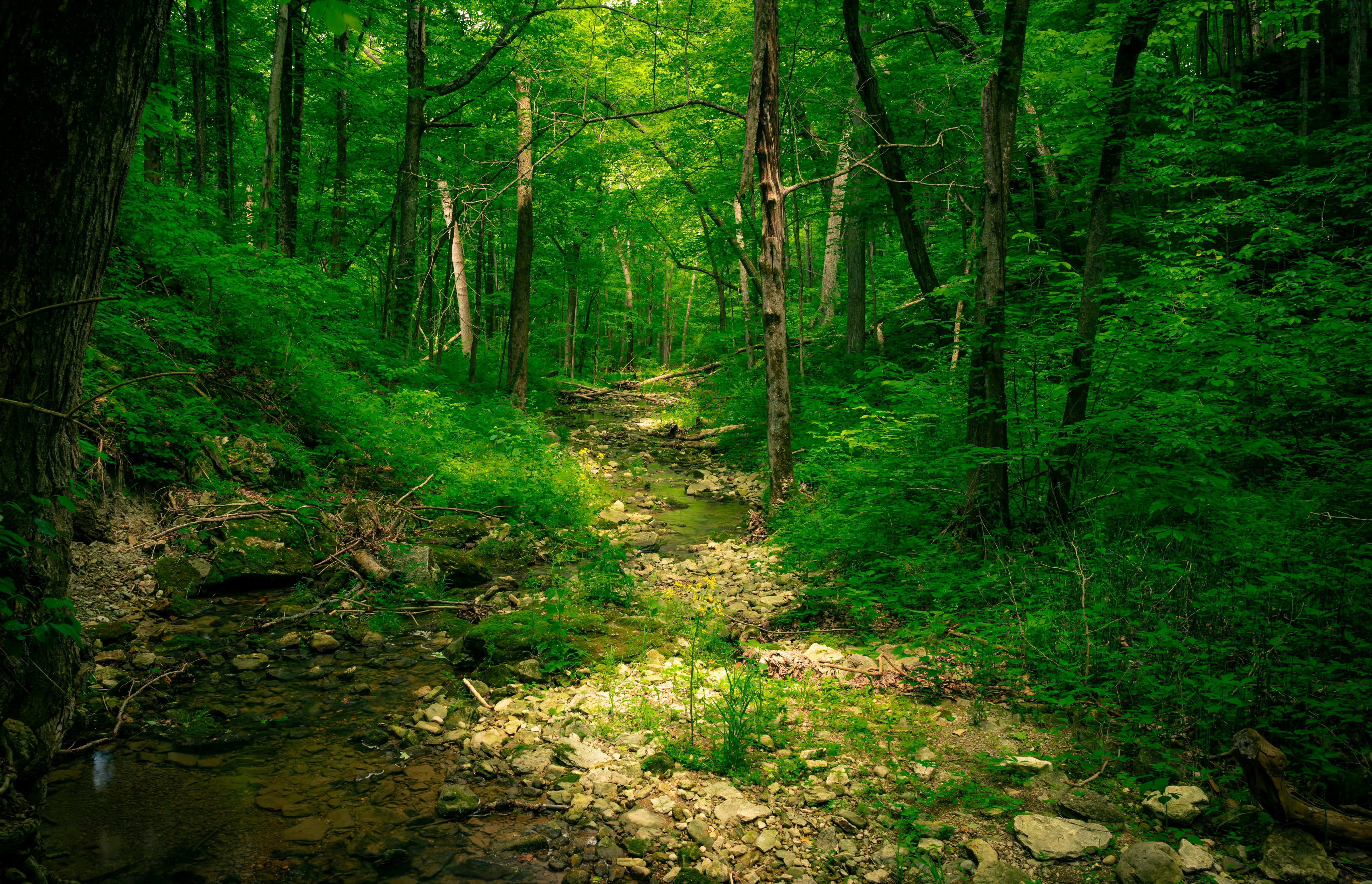 Best Opportunities In Australia For Eco-Conscious Travelers