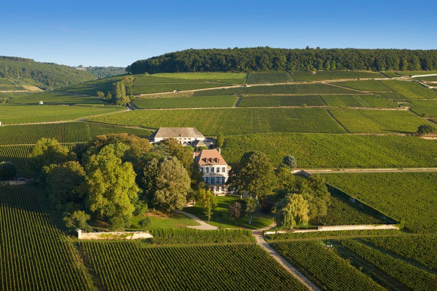 How AI Travel Can Curate Your Perfect Wine Tour in Italy