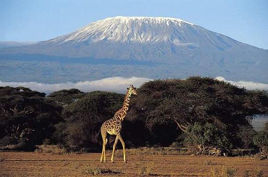 An AI Travel Guide to Remote Villages and Volcano Hikes in Africa