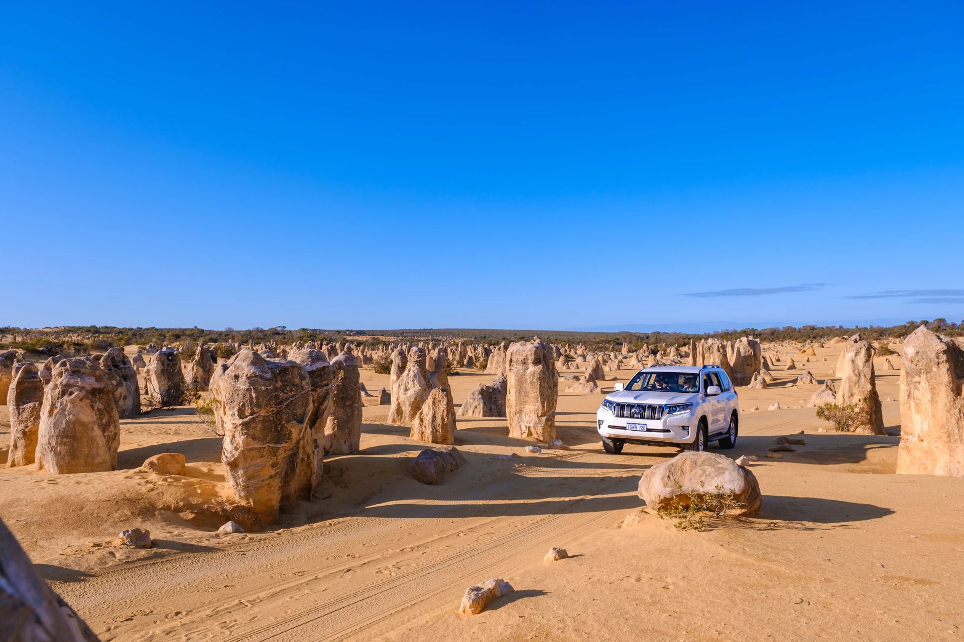 The Pinnacles Desert: Australia’s Unique Natural Wonder