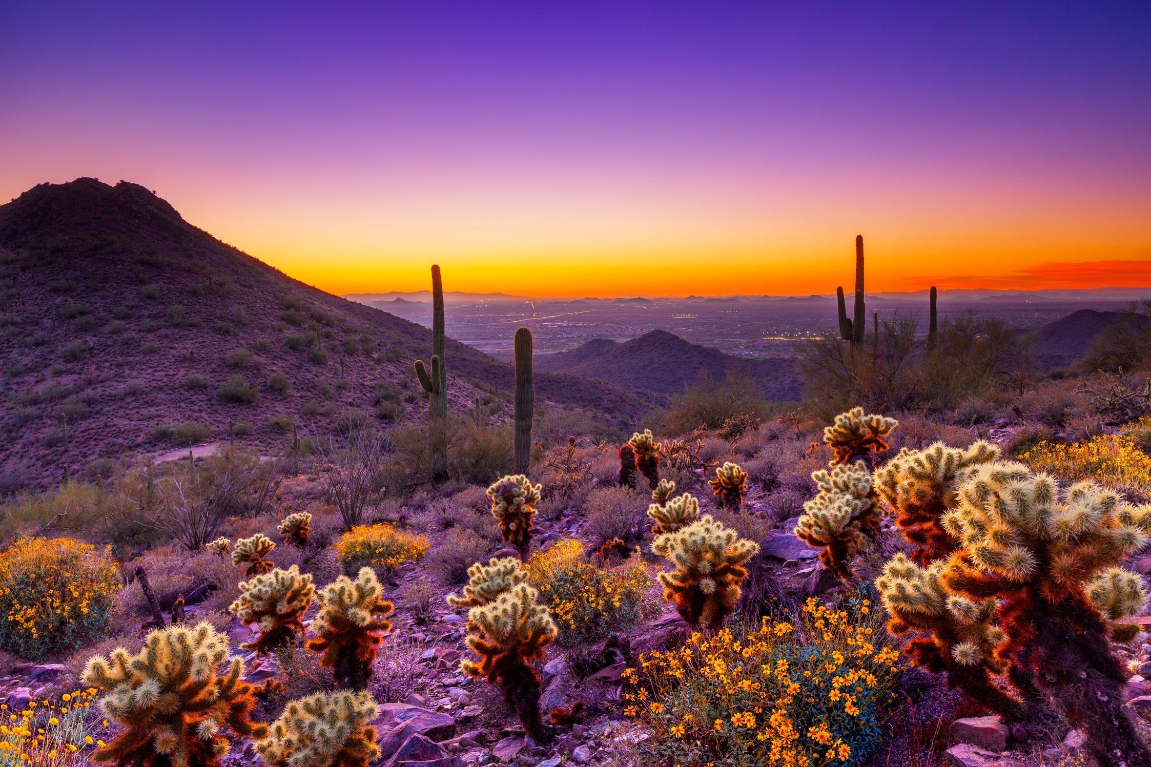 AI Flights to Explore Spring in Arizona