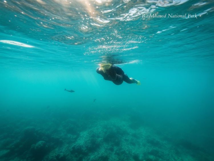 3 Days in Sharm El Sheikh