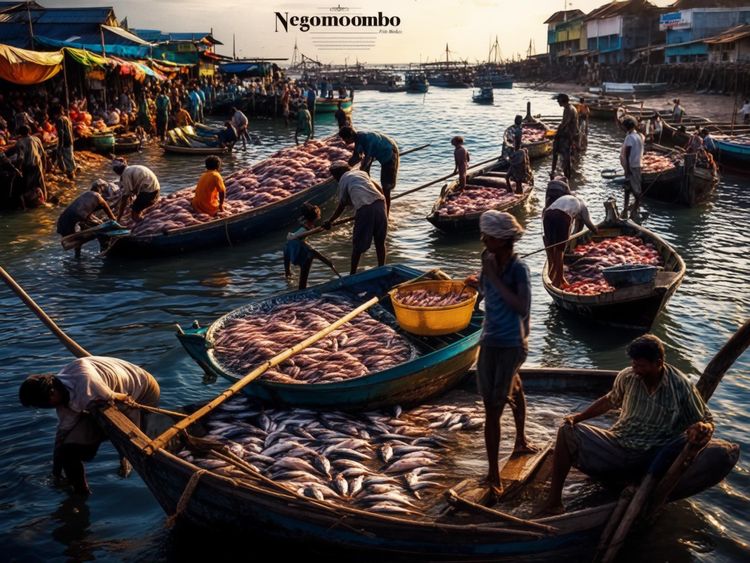 3 Days in Negombo
