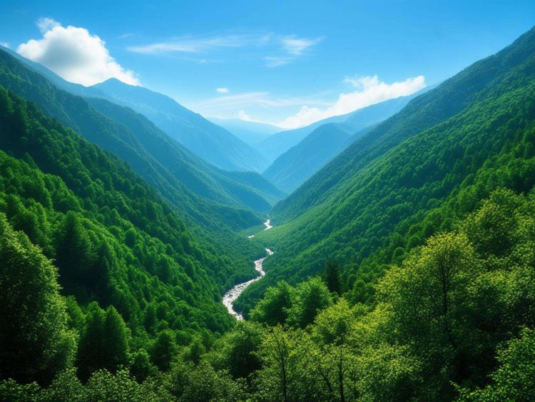 10 Best Hiking Trails in Artvin That Will Take Your Breath Away