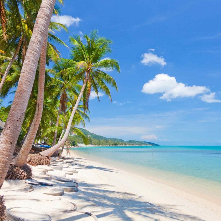Is Koh Samui Worth Visiting | Booked AI