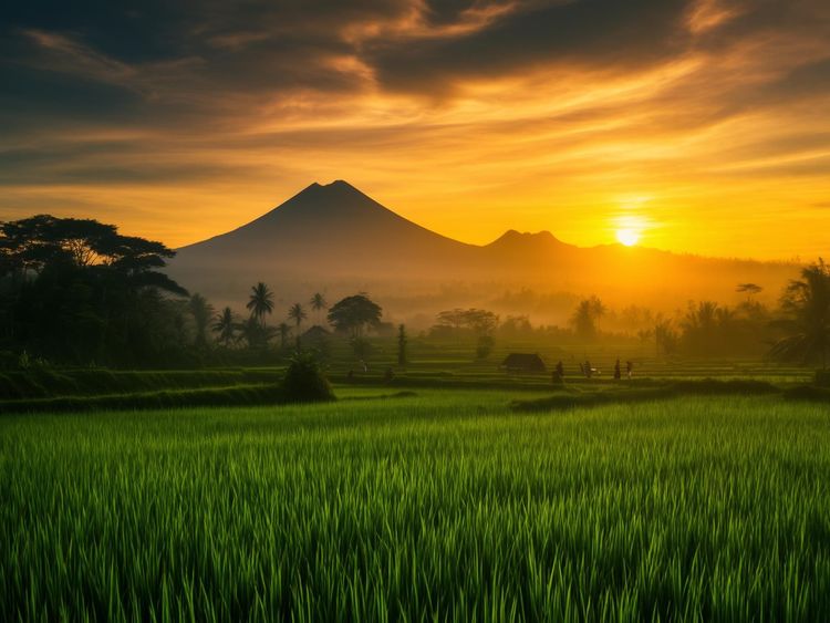 Exploring Java Best Time to Visit and Travel Tips for an Unforgettable Experience