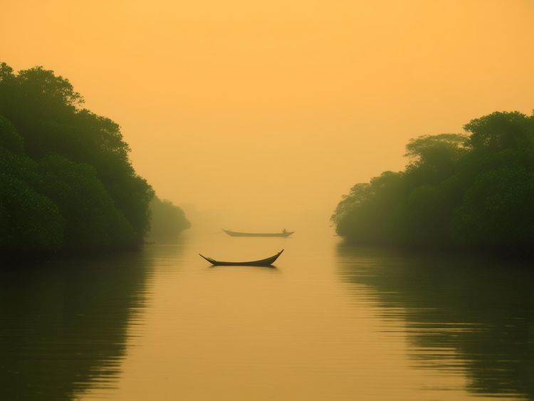 Best Time to Visit the Sundarbans Weather Festivals and Travel Tips