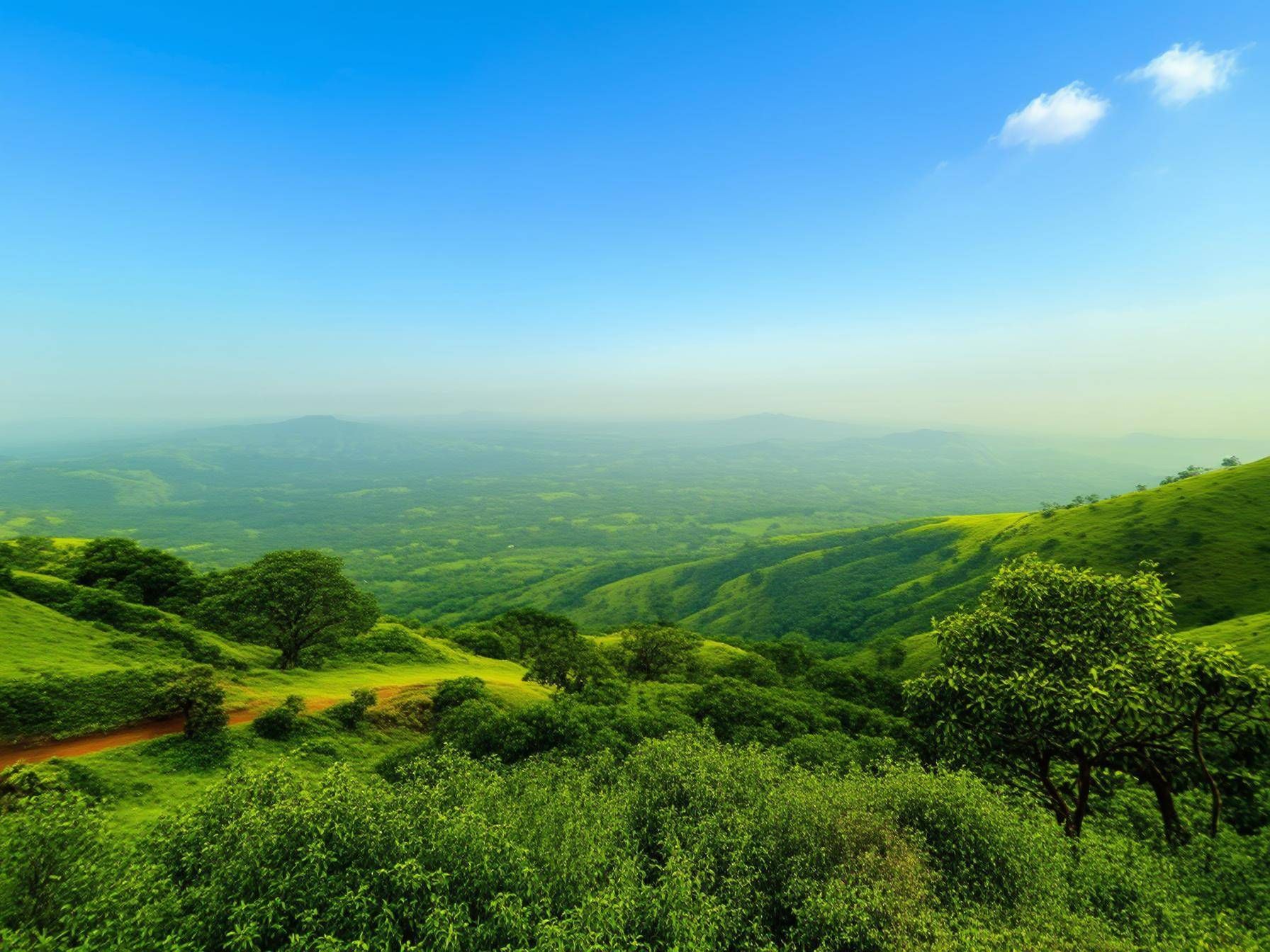 Best Time to Visit Chikmagalur Weather Festivals and Seasonal Attractions