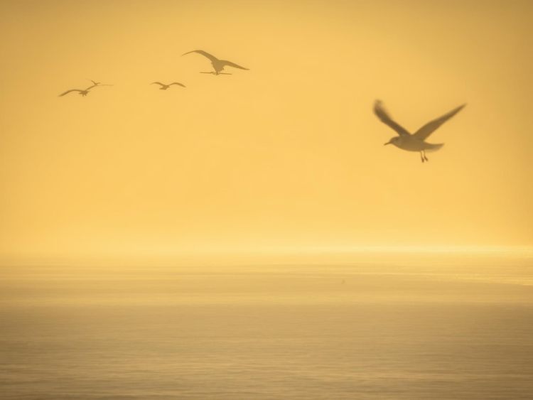 How to Find the Best Flights to Penzance for Your Next Vacation