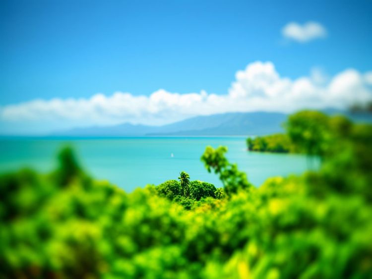 Best Time to Visit Cairns Weather Festivals and Travel Tips