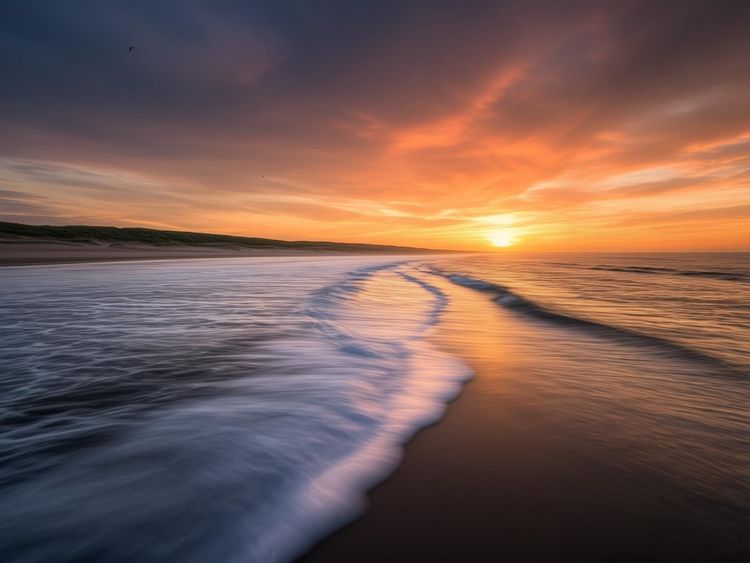 A Complete Travel Guide to Exploring Texels Natural Parks and Beaches